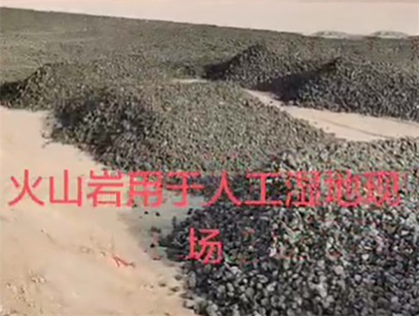 北京大兴潜流层人工湿地项目